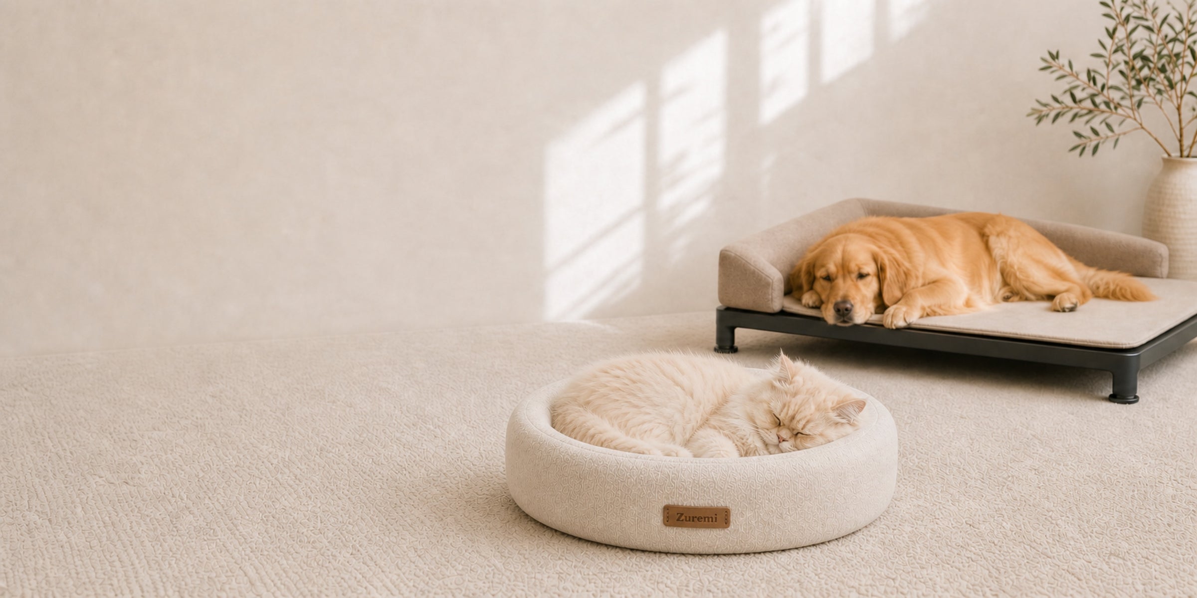 A cream Persian cat curled asleep in a soft oval cat bed while a golden retriever rests separately on a Zuremi Climate Rest Platform in a warm home